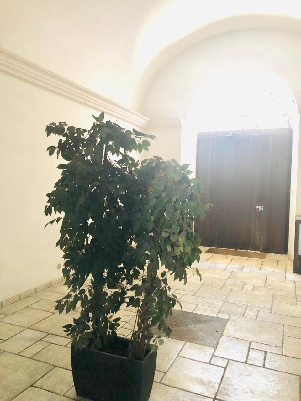 Baricityhouse Εξωτερικό φωτογραφία